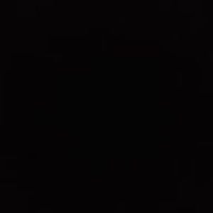 Meet your Posher, Terry